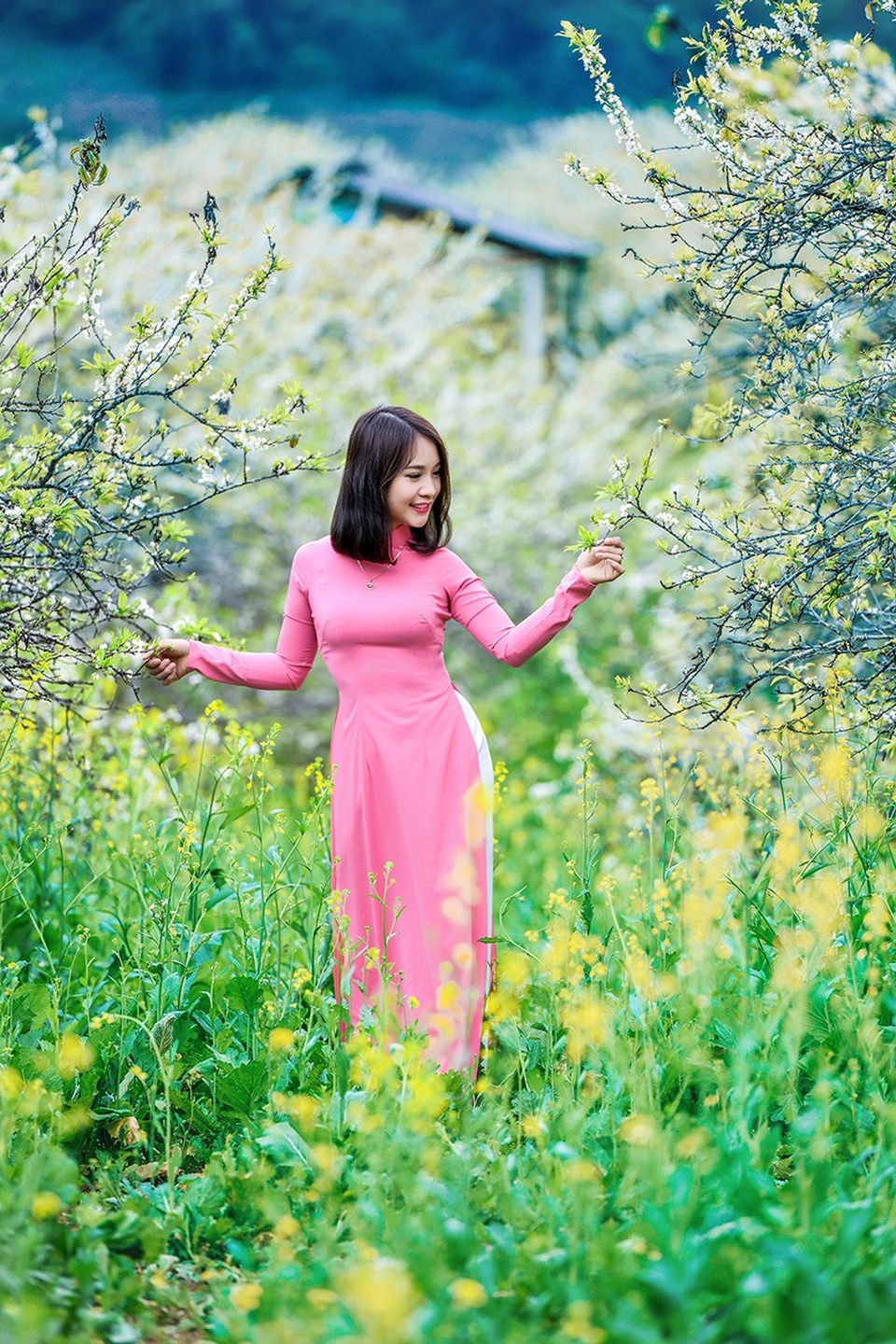 Xuân về đẹp tuyệt giữa rừng hoa mận trắng Mộc Châu - 4 Lời khuyên cho các bạn trẻ có ý định du lịch đầu xuân tại rừng mận Mộc Châu là cần phải mang nhiều quần áo ấm. Nơi đây khá lạnh và cần được mọi người có ý thức giữ gìn vệ sinh chung, không xả rác thải bừa bãi.