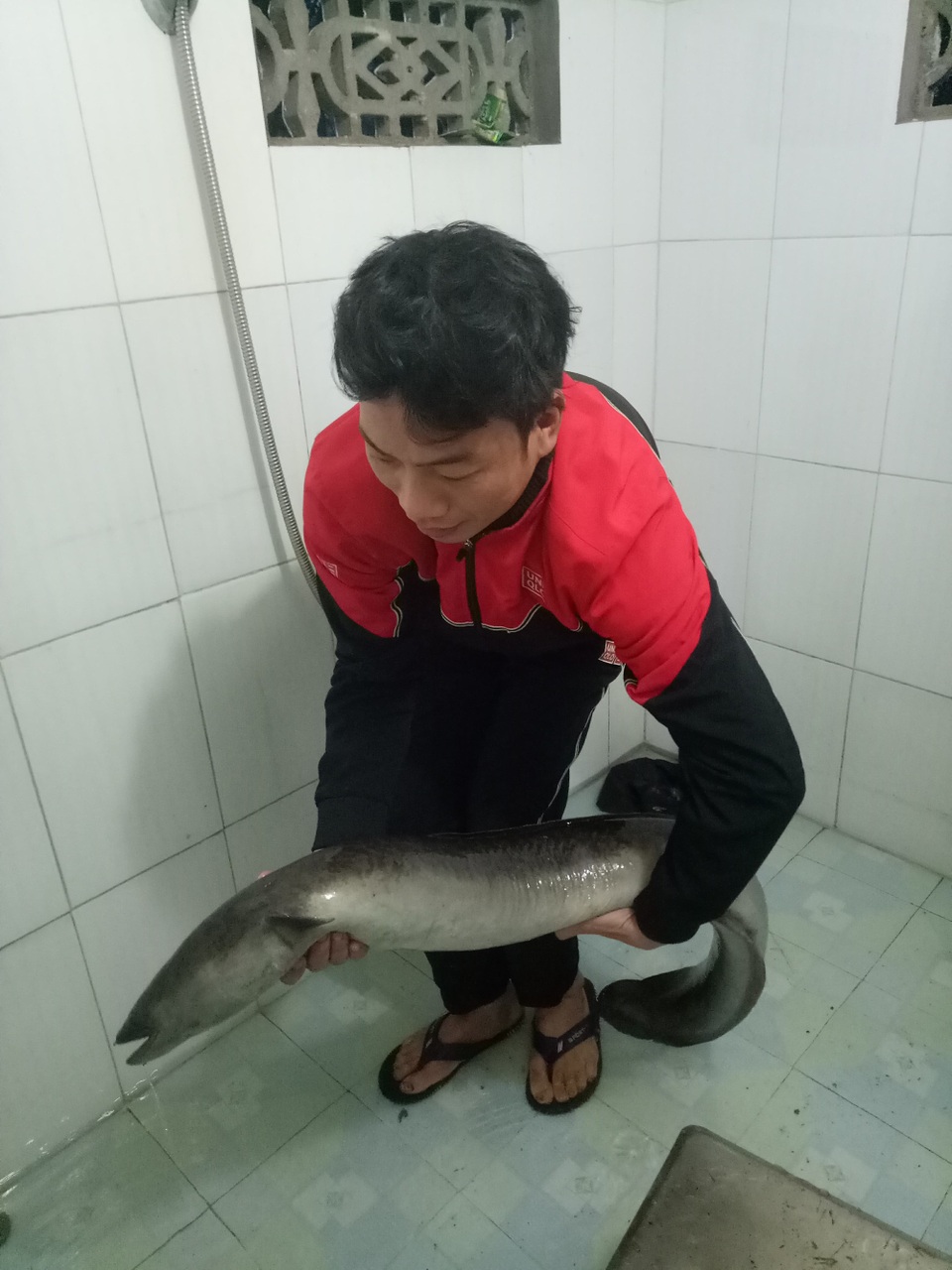 Bắt được cá lệch "khủng" nặng gần 10kg trong sáng ngày đầu năm - 2 Con cá nặng gần 10kg.