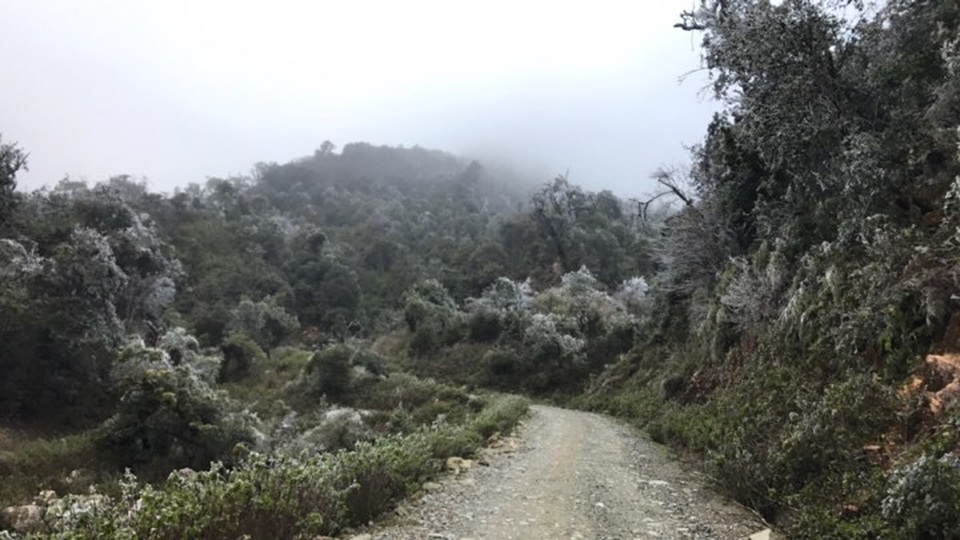 Sững sờ với cảnh băng tuyết trắng xóa tại Mù Cang Chải - 5 Thời tiết ngoài trời ở Trống Páo Sang được người dân ghi nhận vào ngày 10/1 có thời điểm dưới 0 độ C.