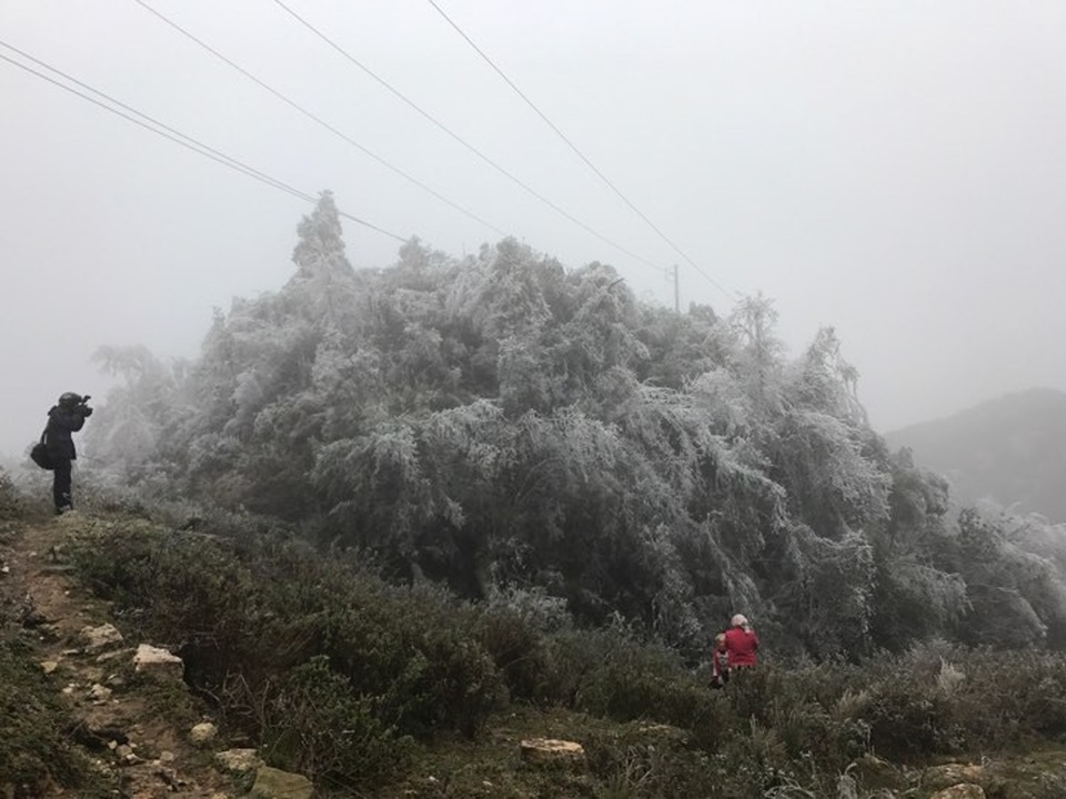 Sững sờ với cảnh băng tuyết trắng xóa tại Mù Cang Chải - 6 Rất nhiều dân phượt và người dân địa phương đã đổ xô lên đây để chiêm ngưỡng cảnh đẹp hiếm gặp