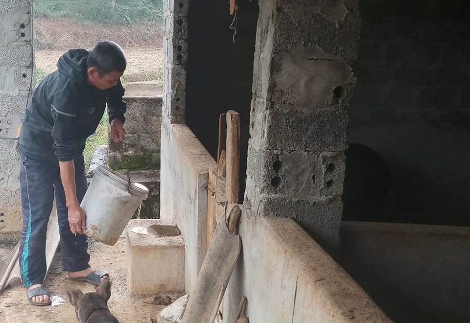 Không khí "nóng" dần lên tại gia đình thủ môn Bùi Tiến Dũng - 6 Ông Bùi Văn Khánh - Bố thủ thành Tiến Dũng cho lợn ăn