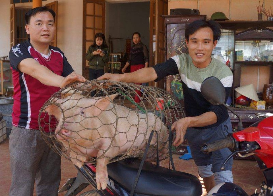 Hàng triệu người vỡ òa sau loạt đá luân lưu của U23 Việt Nam - 36
Chiều nay, không khí tại gia đình thủ môn Bùi Tiến Dũng ở làng Bào, xã Phúc Thịnh, huyện Ngọc Lặc, tỉnh Thanh Hóa, rất rộn ràng náo nhiêt. Gia đình đã mổ lợn, mua bia, mời cả làng tới xem bóng đá. (Ảnh: Duy Tuyên)