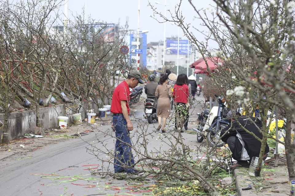 Cận cảnh lê rừng cổ thụ giá chục triệu “ồ ạt” xuống phố Hà Nội - 11 Sở dĩ lê rừng có giá cao là bởi công vận chuyển khá vất vả, lê rừng được cắt trực tiếp từ trong rừng sâu sau đó thuê người khuân vác ra xe và trở về Hà Nội.