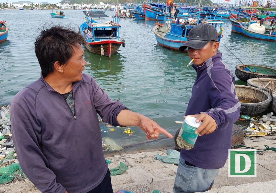 Tôm hùm con to bằng đầu đũa, giá kỷ lục 250.000 đồng/con - 1 Ngư dân Nha Trang về bờ sau chuyến đánh bắt tôm hùm con, hôm 28/2