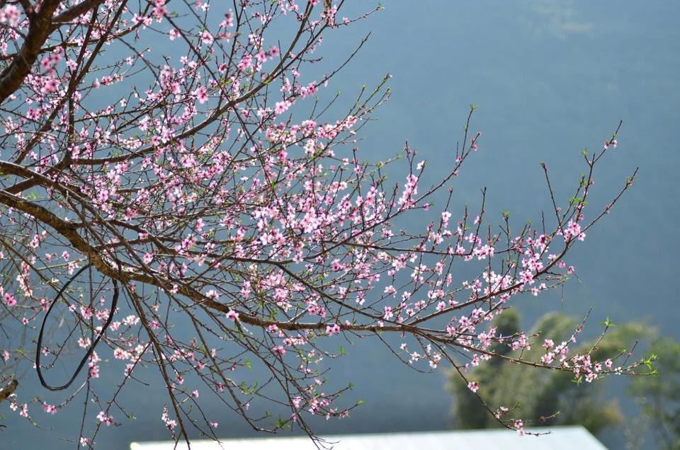 Top những điểm đến siêu chất trong tháng 3 - 2