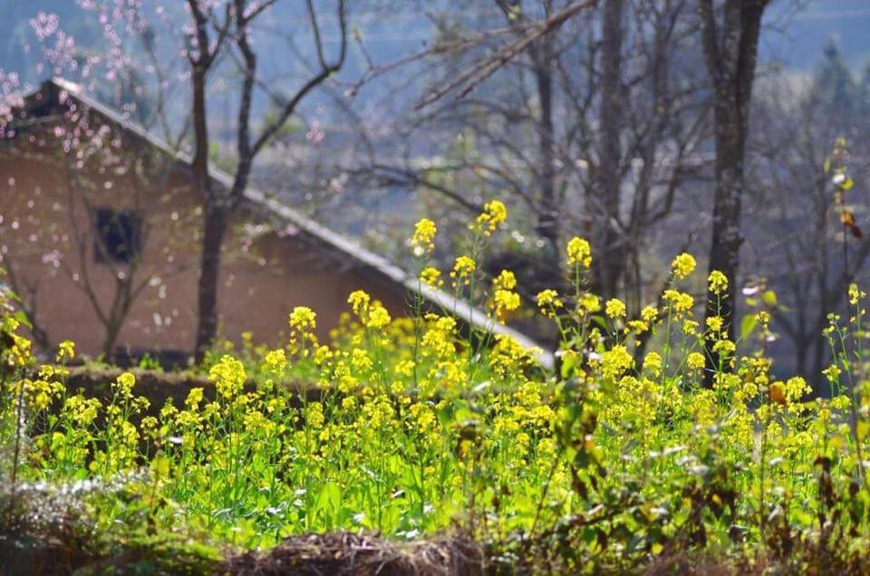 Top những điểm đến siêu chất trong tháng 3 - 3