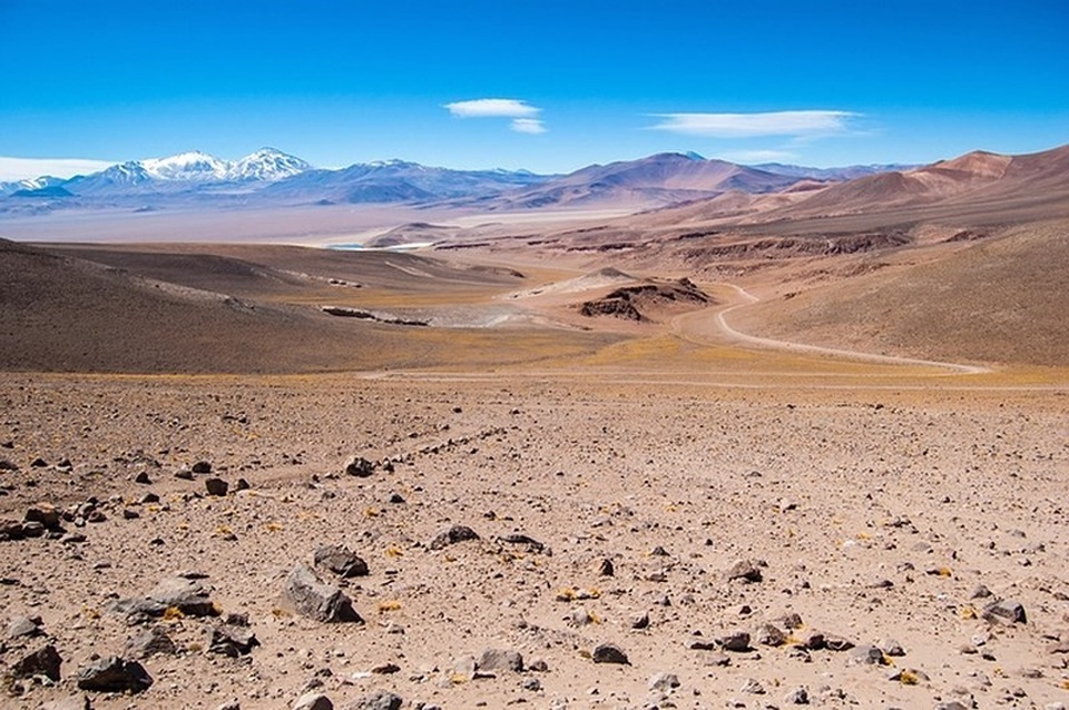 Cơn mưa bão hiếm đánh thức vi khuẩn chưa chết ở Sa mạc Atacama của Chile - 2
Sa mạc Atacama ở Chile.