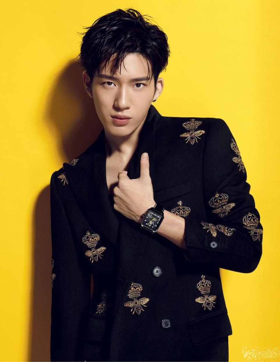 Nam ca sĩ - diễn viên Tỉnh Bách Nhiên (28 tuổi)