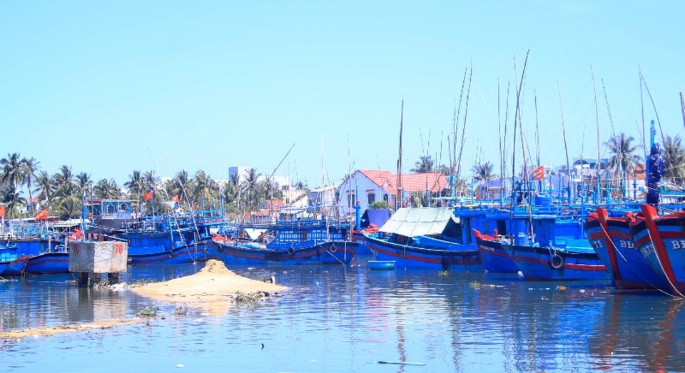 Bình Định: Ngư dân khốn đốn vì khu neo đậu bị bồi lấp nghiêm trọng! - 1 Khu neo đậu tàu thuyền cửa biển Tam Quan (huyện Hoài Nhơn, Bình Định) đang quá tải do bị bồi lấp nghiêm trọng.
