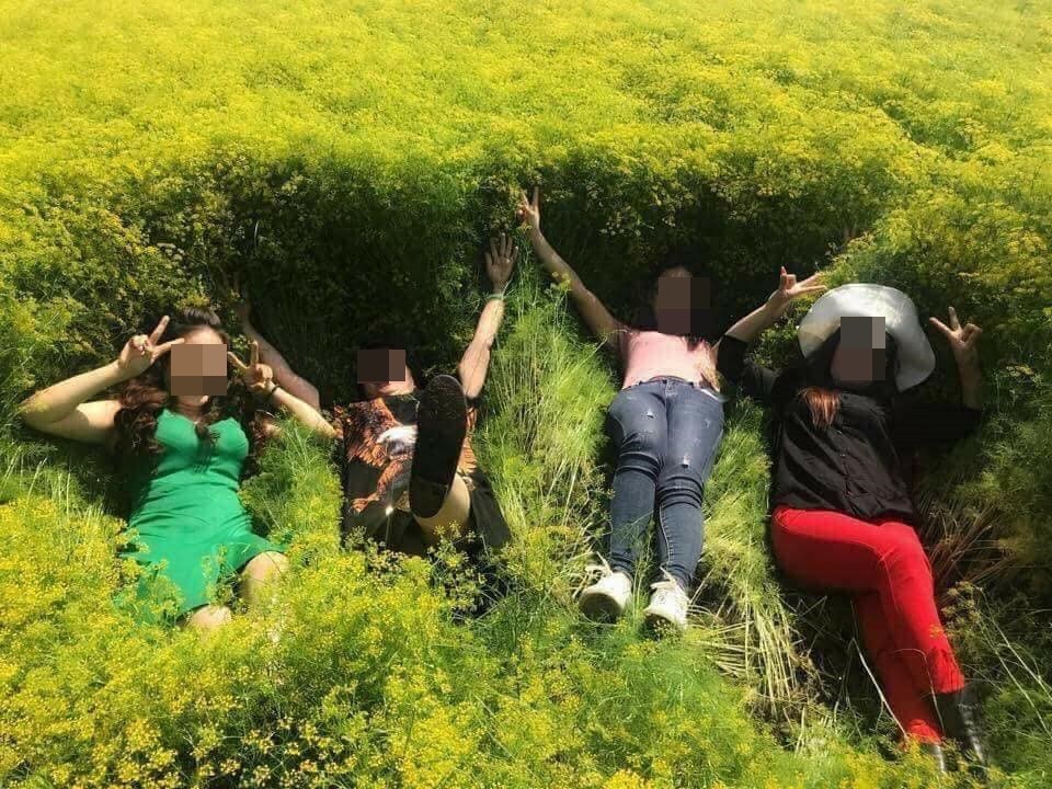 Bị giẫm đạp tả tơi, vườn hoa gây “sốt” ở Ninh Thuận đóng cửa chỉ sau 4 ngày - 3 Nhiều khách du lịch thiếu ý thức giẫm đạp khiến cánh đồng hoa trở nên tan hoang. Ảnh: Fb