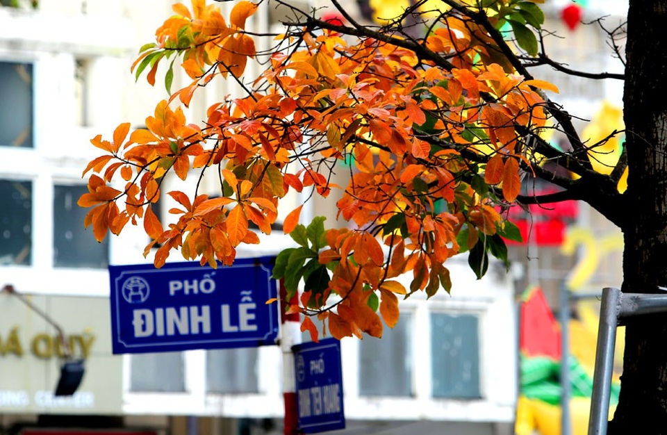 Những con đường ven Hồ Gươm lãng mạn hơn khi lộc vừng đang mùa trút lá.