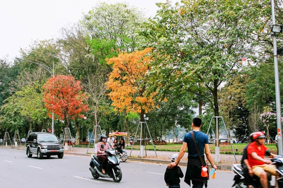 Chẳng phải đợi đến mùa thu, Hà Nội những ngày cuối tháng 3 đầu tháng 4 cũng trở nên lãng mạn bởi mùa cây thay lá. Những góc phố, con đường thân quen bỗng trở nên đẹp lạ bởi sắc vàng, sắc đỏ của những hàng cây.