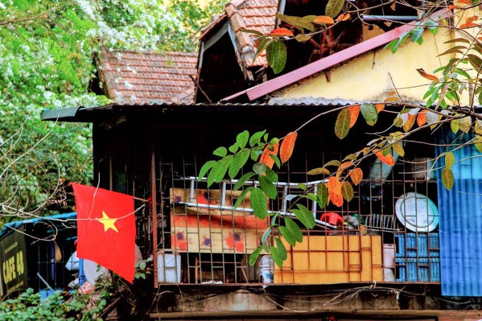 Khung trời rợp sắc đỏ, vàng của màu lá khiến Hà Nội trở nên đẹp lạ