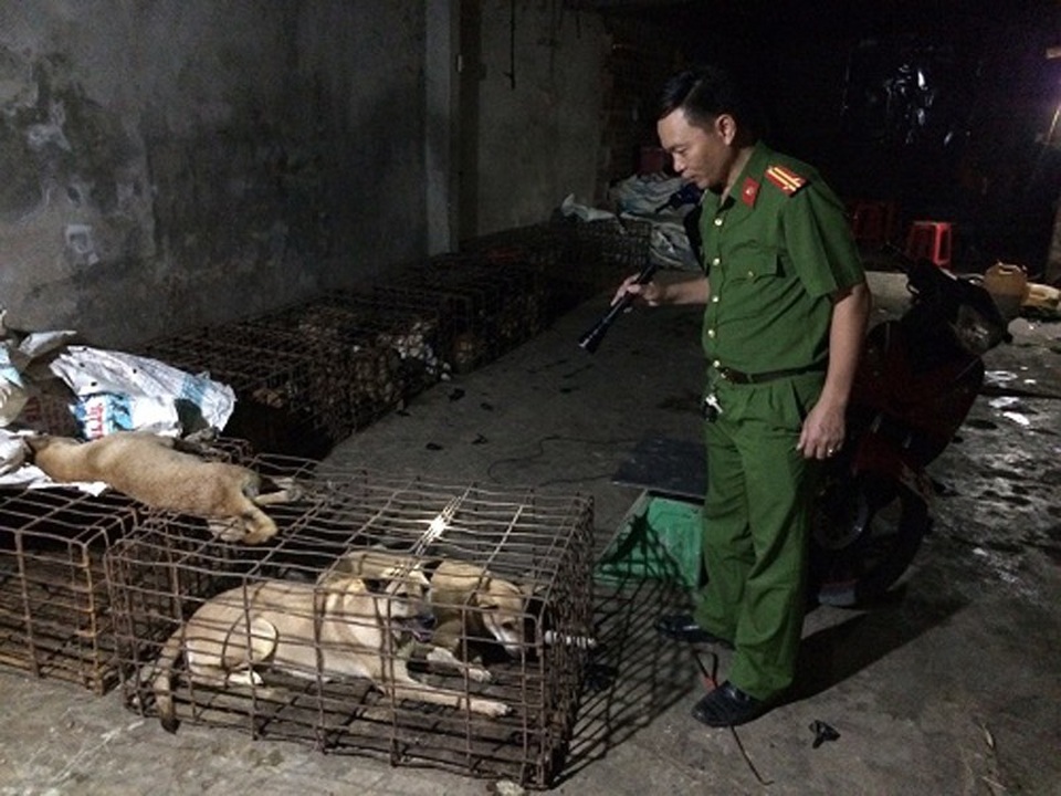 Vụ "cẩu tặc" chạy tán loạn: Hàng loạt bị cáo lĩnh án - 2 Nhiều con chó mà nhóm đối tượng bắt trộm về chưa kịp tiêu thụ, bị công an thu giữ.