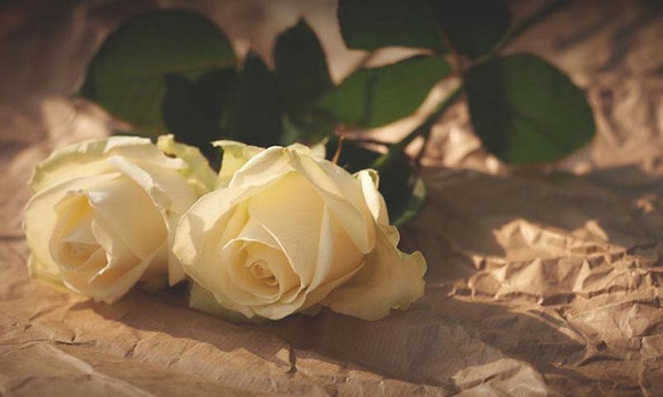 Những điều thú vị nên biết về ngày Valentine trắng - 1 Những điều thú vị nên biết về ngày Valentine trắng - 1