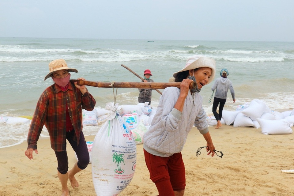 Ngư dân phấn khởi vì được mùa ốc ruốc - 2 Mỗi chuyến đi cào thường bắt đầu từ 1 giờ sáng đến 12 giờ trưa