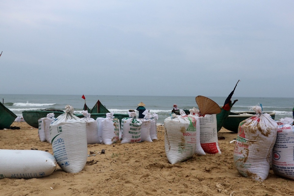 Ngư dân phấn khởi vì được mùa ốc ruốc - 5 Mùa khai thác ốc ruốc thường kéo dài từ đầu tháng giêng đến cuối tháng 3 âm lịch