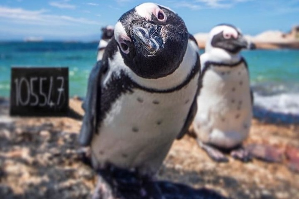 Cảnh đẹp thế giới mê ly qua ống kính của cặp đôi nam nữ Nam Phi - 13