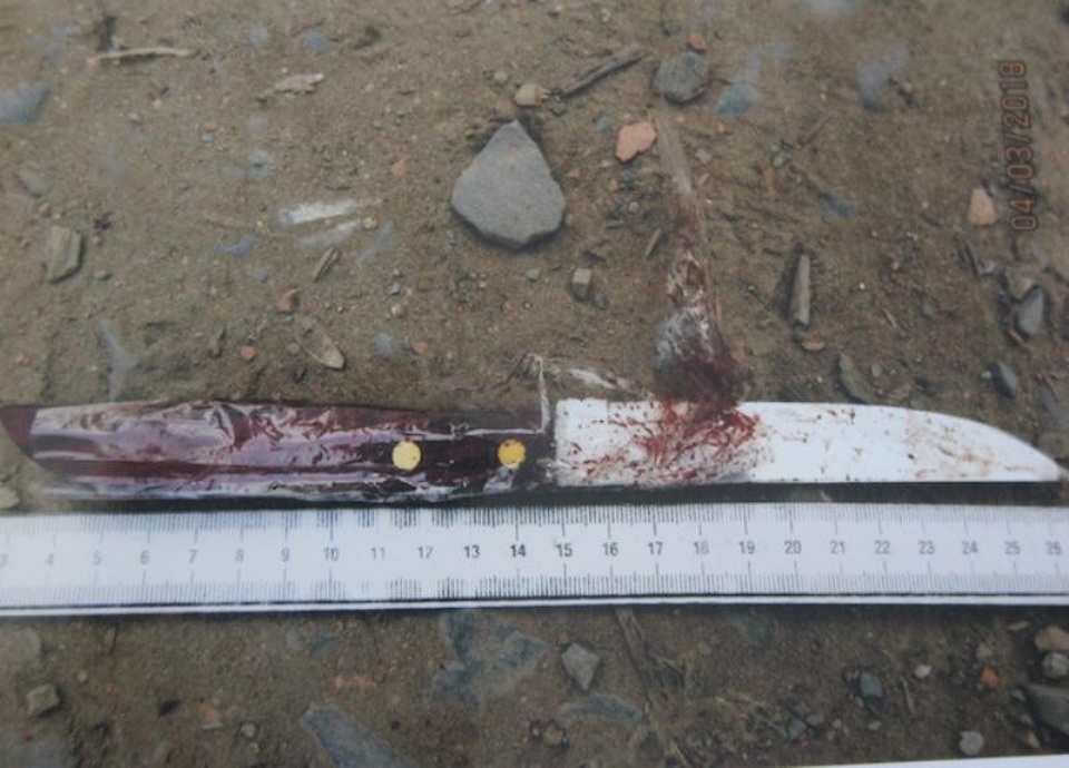 Bắt giữ nghi phạm giết người rồi bỏ trốn - 2 Con dao Bỗ gây án