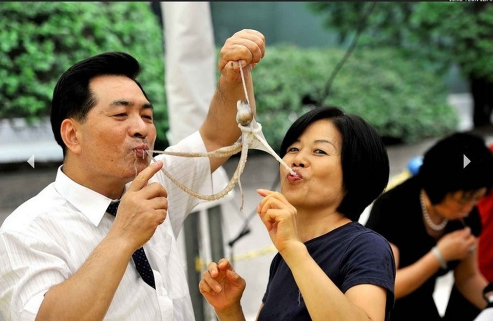 Rùng mình 4 món ăn tươi sống vẫn “ngoe nguẩy” trong miệng - 4 Thực khách yêu thích món này không chỉ vì độ tươi ngon của bạch tuộc, mà còn vì cảm giác đặc biệt khi các xúc tu bạch tuộc bám vào miệng.