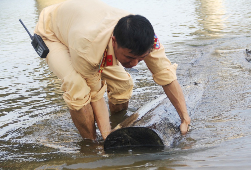 Lâm tặc phi tang gỗ lậu xuống sông rồi tẩu thoát - 2