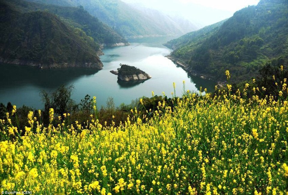 Hòn đảo đặc biệt thu hút khách vào mùa xuân