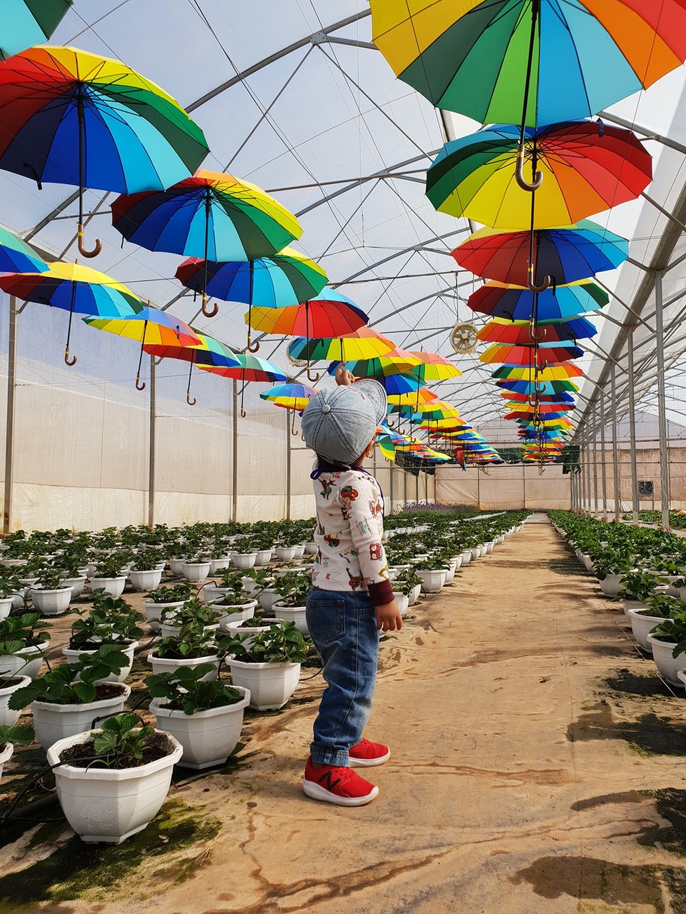 Ảnh giữ được nhiều chi tiết rõ nét, khả năng cân bằng trắng rất tốt