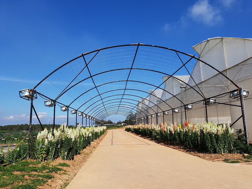 Ảnh lưu lại với độ chi tiết cao dù đang di chuyển bằng xe với tốc độ gần 15km/h