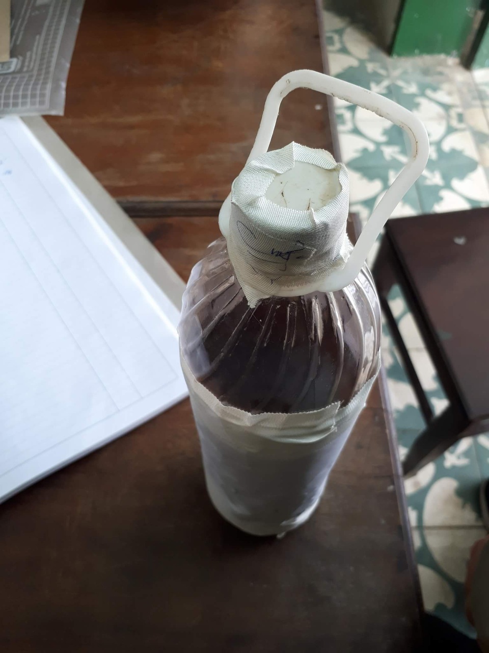 Kết quả kiểm nghiệm cho thấy, chai rượu khiến 4 người thương vong được ngâm từ cây lá ngón.