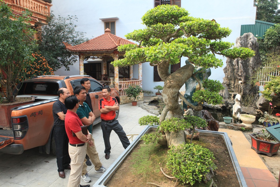 Chiêm ngưỡng vườn cảnh triệu đô của đại gia Phú Thọ - 3 Bén duyên với thú chơi cây cảnh từ khá sớm, Toàn “đô la” sớm nổi lên trong giới chơi cây bởi sự chịu chi và lòng đam mê cây hiếm có. Cách đây vài năm, vườn cây của tay chơi này gây xôn xao dư luận khi từng được định giá lên tới 300 tỷ đồng.