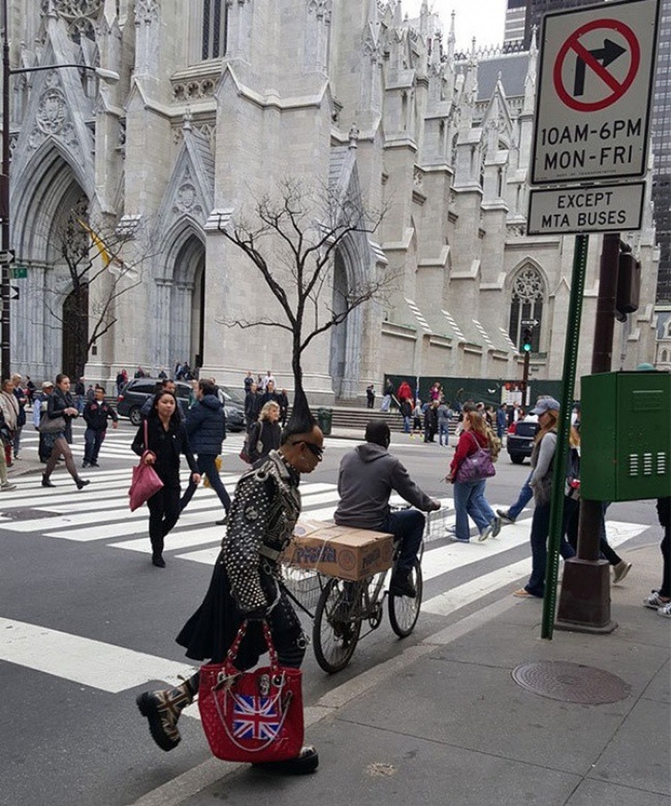 Chùm ảnh trùng hợp hài hước mà phải nhìn nhiều lần mới nhận ra - 8 Người đàn ông này đang đội cả cái cây để ra đường