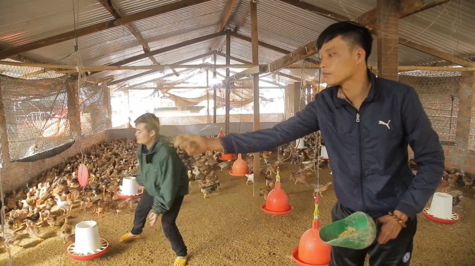 Chuyện cảm động về chàng trai 9X bị u não muốn hiến xác cho y học - 2 Từ chỗ không làm được gì, Nam đã có thể giúp gia đình chăm gà, hái cà phê...
