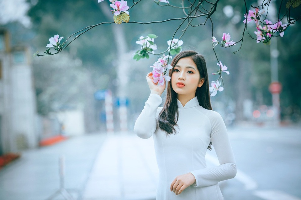 Nữ sinh Hà thành ngọt ngào bên sắc hoa ban - 1 Nữ sinh Hà thành ngọt ngào bên sắc hoa ban - 1