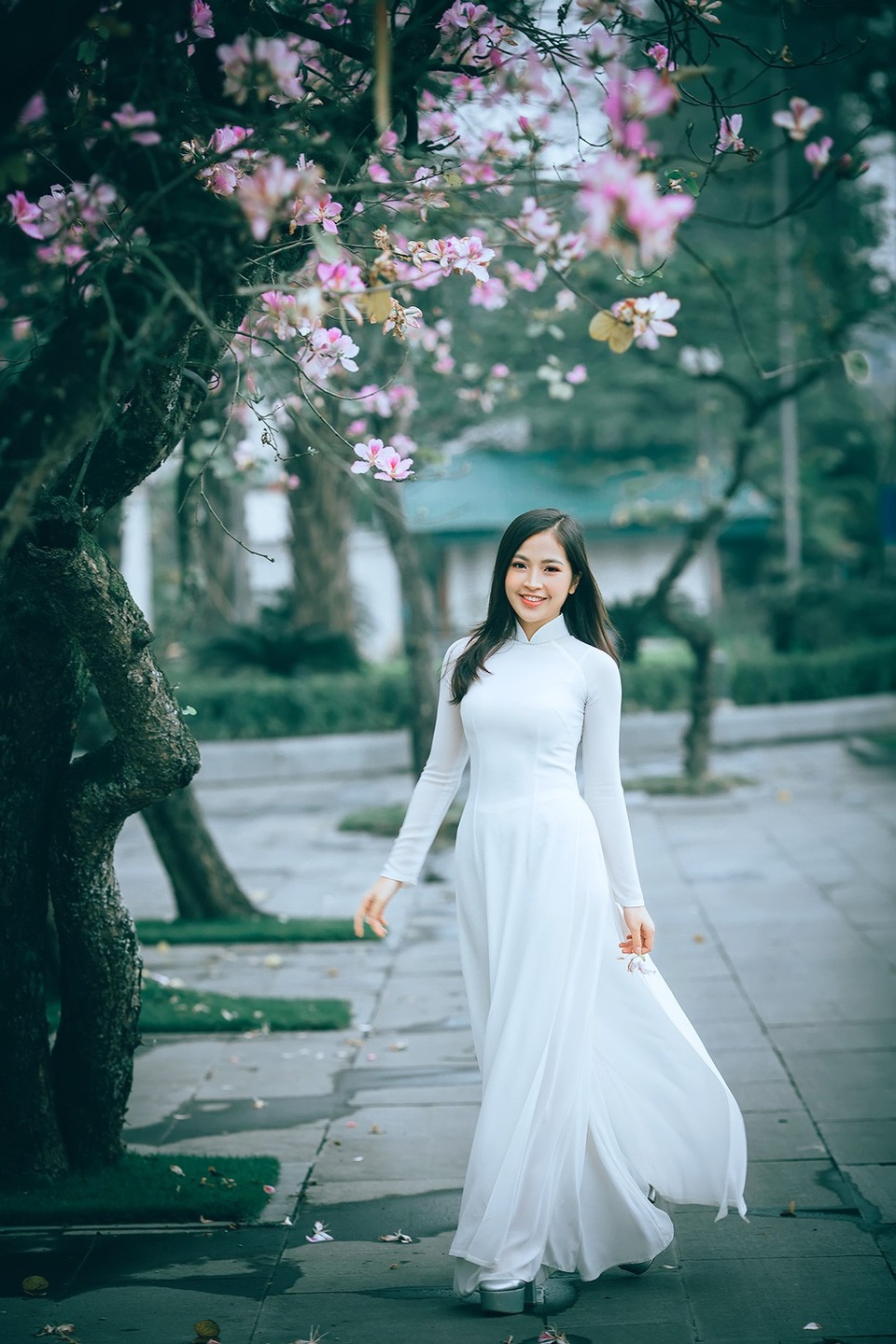 Nữ sinh Hà thành ngọt ngào bên sắc hoa ban - 10 Nữ sinh Hà thành ngọt ngào bên sắc hoa ban - 10