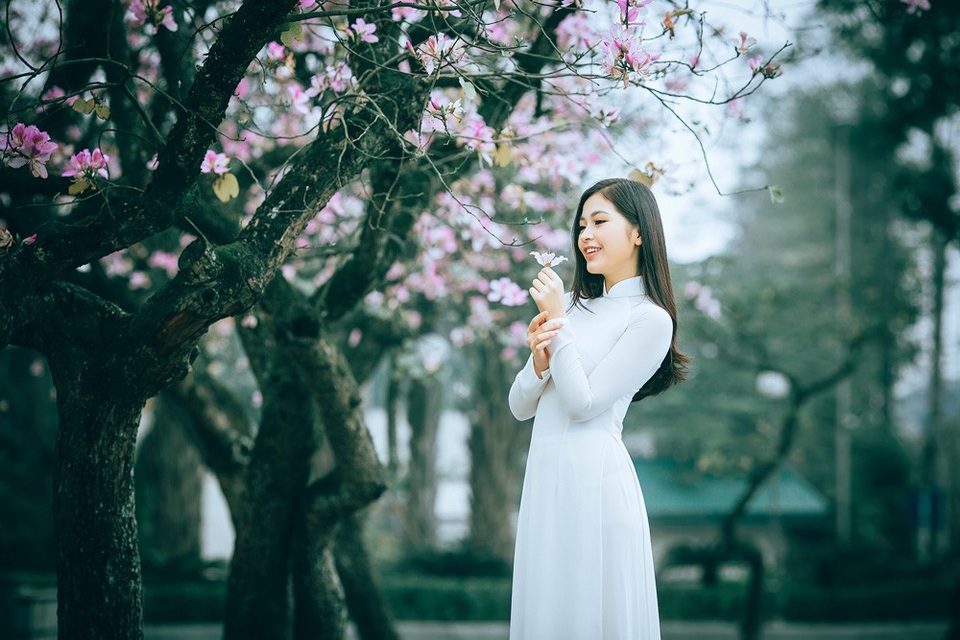 Nữ sinh Hà thành ngọt ngào bên sắc hoa ban - 9 Nữ sinh Hà thành ngọt ngào bên sắc hoa ban - 9