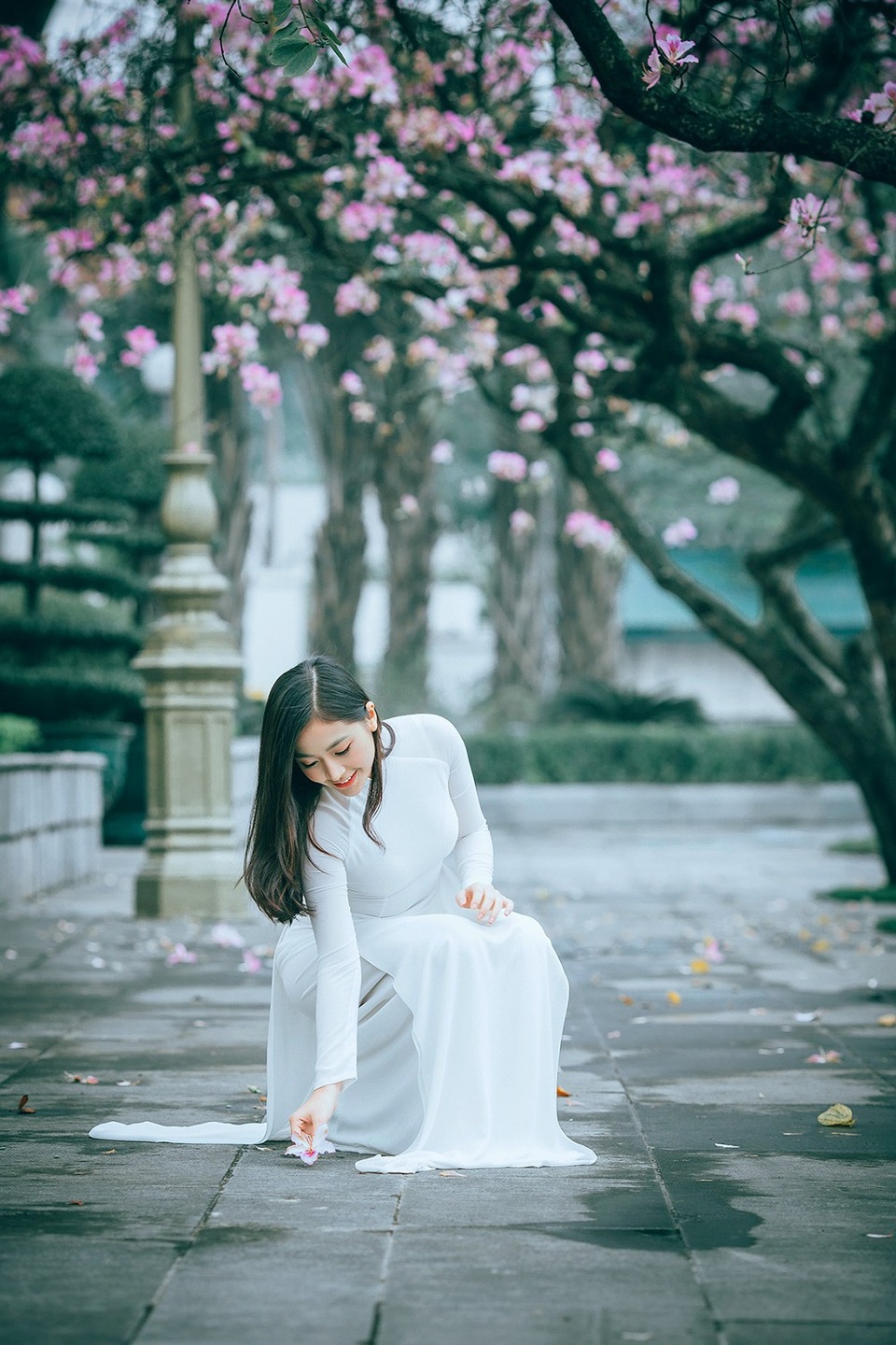 Nữ sinh Hà thành ngọt ngào bên sắc hoa ban - 7 Nữ sinh Hà thành ngọt ngào bên sắc hoa ban - 7