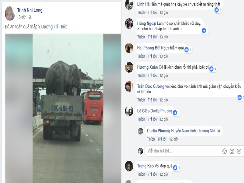 Hãi hùng nhìn xe tải chở... voi chạy băng băng trên đường - 1
Nhiều bình luận tỏ vẻ lo lắng về sự an toàn khi con voi được vận chuyển như thế này.