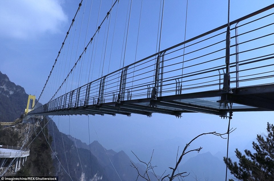 Trung Quốc mở cửa cầu đáy kính cao hơn tòa nhà 65 tầng - 6 Cây cầu chịu được trọng lượng tối đa 80 khách cùng lúc