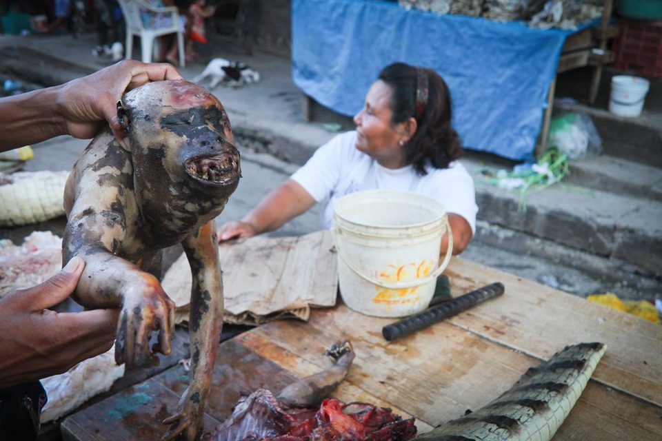 Đến thăm “thành phố nổi kiểu Venice” phiên bản "nghèo khổ và bẩn thỉu" - 4 Khu chợ bày bán đủ mọi loại thịt thú rừng