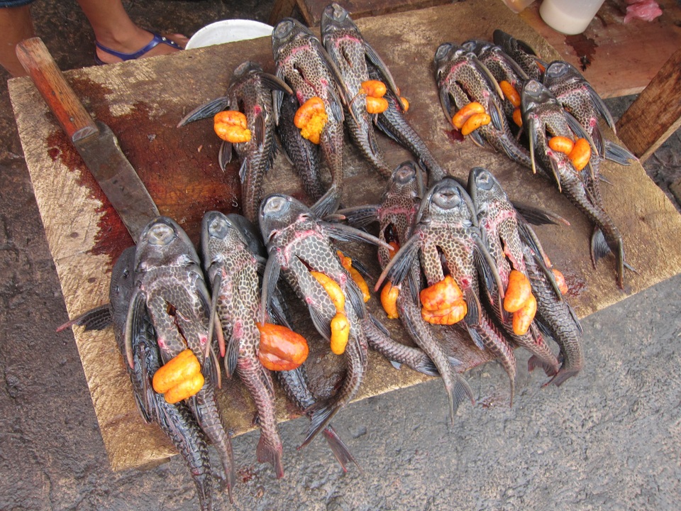 Đến thăm “thành phố nổi kiểu Venice” phiên bản "nghèo khổ và bẩn thỉu" - 5 Đến thăm “thành phố nổi kiểu Venice” phiên bản "nghèo khổ và bẩn thỉu" - 5