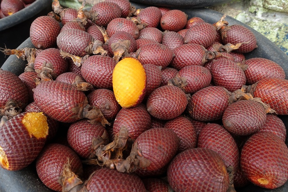 Đến thăm “thành phố nổi kiểu Venice” phiên bản "nghèo khổ và bẩn thỉu" - 7
Quả Aguajes được ví như loại thuốc kích dục của phụ nữ