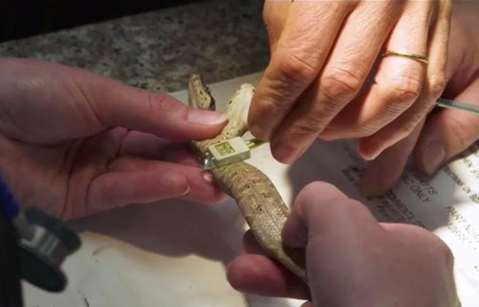 Được tiến hành đo nhịp tim