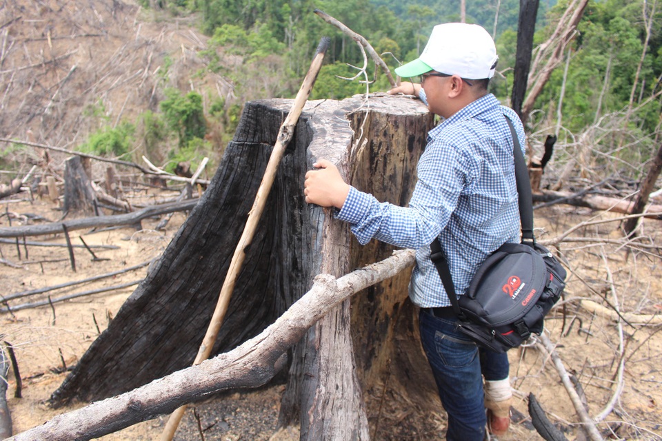 Kỷ luật nhiều cán bộ kiểm lâm liên quan vụ phá rừng phòng hộ Tiên Lãnh - 1 Nhiều cán bộ từ xã đến kiểm lâm bị kỷ luật liên quan đến vụ phá rừng phòng hộ Tiên Lãnh