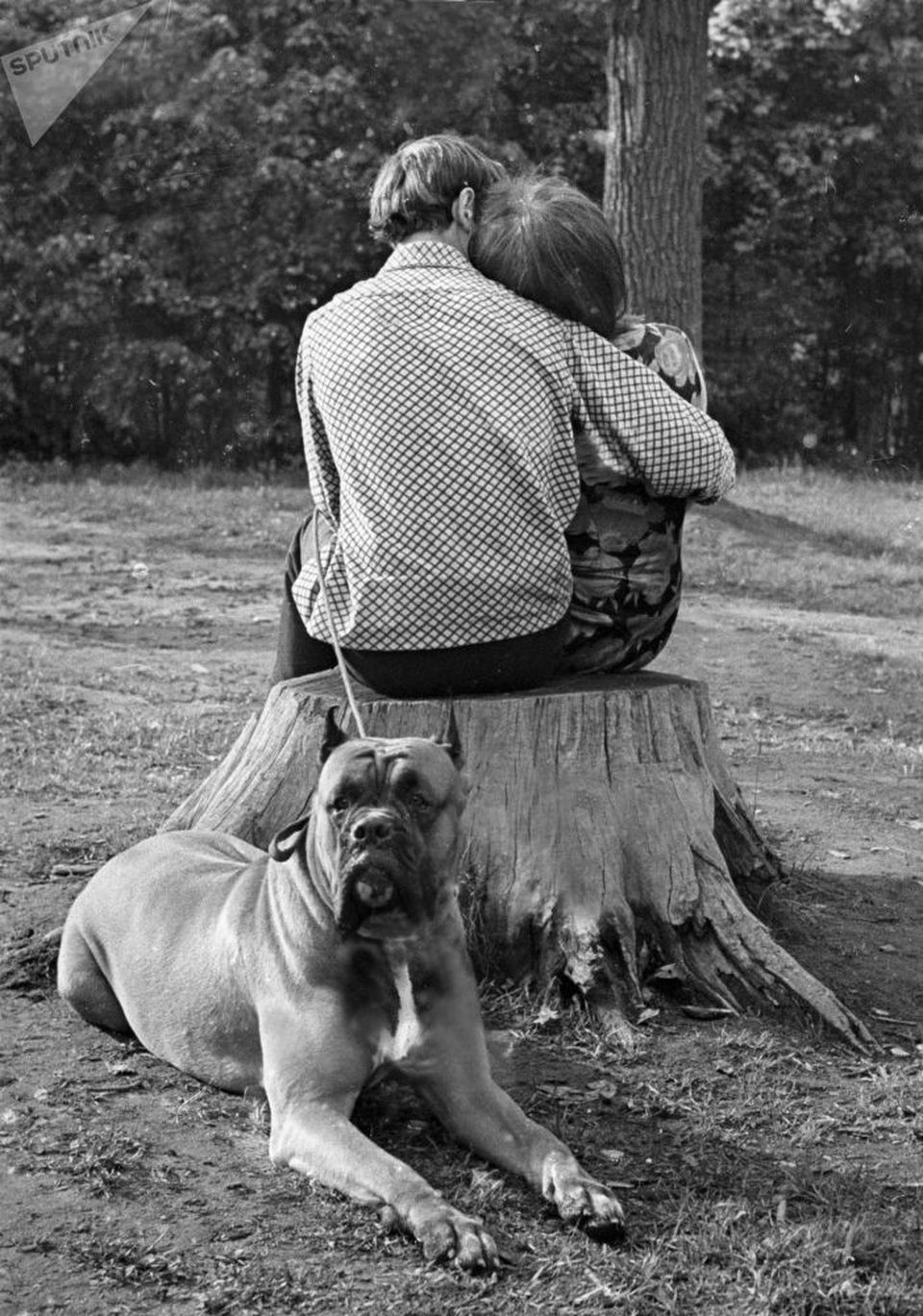 Tuổi trẻ cuồng nhiệt của thế hệ thanh niên Liên Xô - 2 Khoảnh khắc lãng mạn của một đôi trẻ bên trong công viên ở Nga năm 1965.