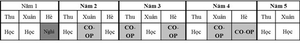Hội thảo săn Học bổng du học Mỹ 12,000 USD của Trường Đại học Cincinnati - 4 Hội thảo săn Học bổng du học Mỹ 12,000 USD của Trường Đại học Cincinnati - 4