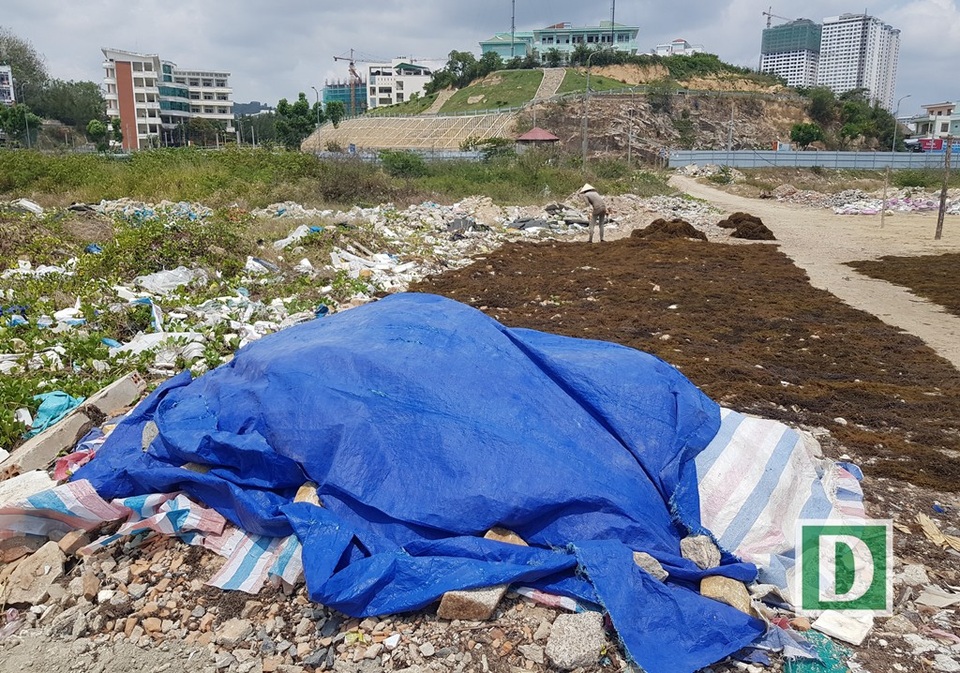 Trong đó, nhà đầu tư bị xử phạt 130 triệu đồng vì không thực hiện chương trình quan trắc, giám sát môi trường trong giai đoạn thi công dự án