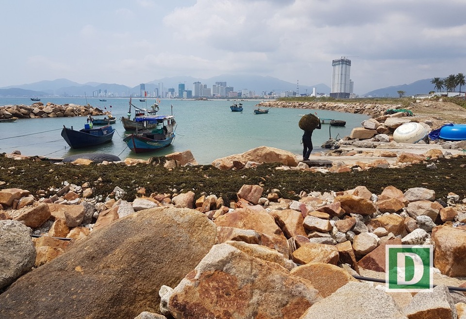 Chậm xử lý dự án “xẻ thịt” Hòn Rùa, lấp 12.800m2 Vịnh Nha Trang - 2 Thời gian qua, dư luận cũng bức xúc về các dự án lấp, lấn trái phép danh thắng quốc gia Vịnh Nha Trang