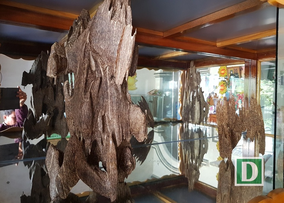 Những mẫu trầm có hình thù kỳ dị ở “xứ trầm” Khánh Hòa - 9 Người ta cho rằng, ai có trầm hương coi như là có của quý và được cất giữ như vật “gia bảo” trong nhà