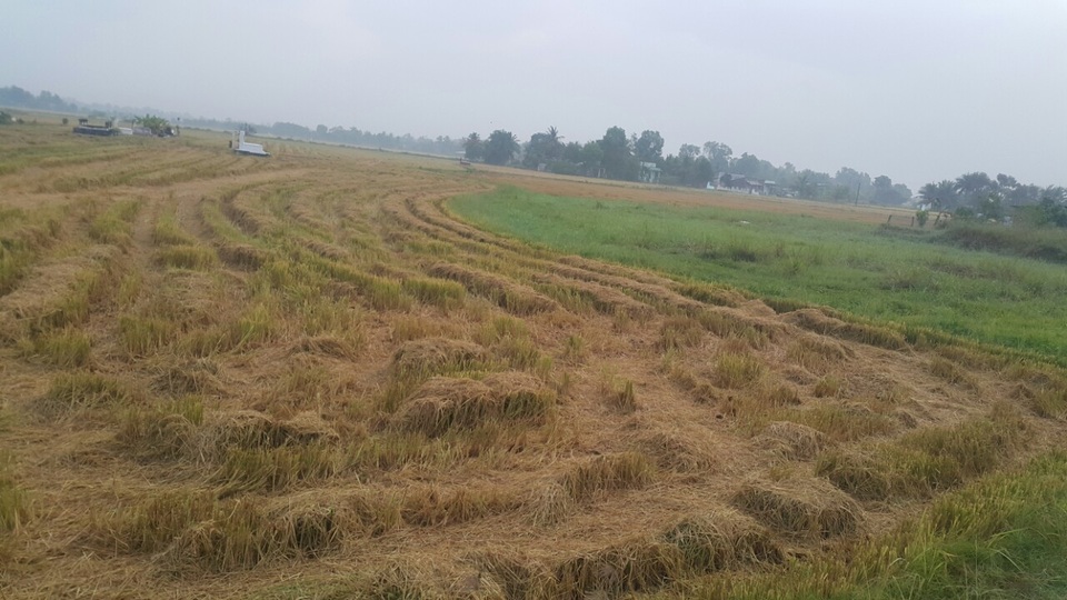 Nghi án thầy giáo chém cậu bé chăn bò tử vong? - 1 Hiện trường sự việc em Hào bị chém tử vong.