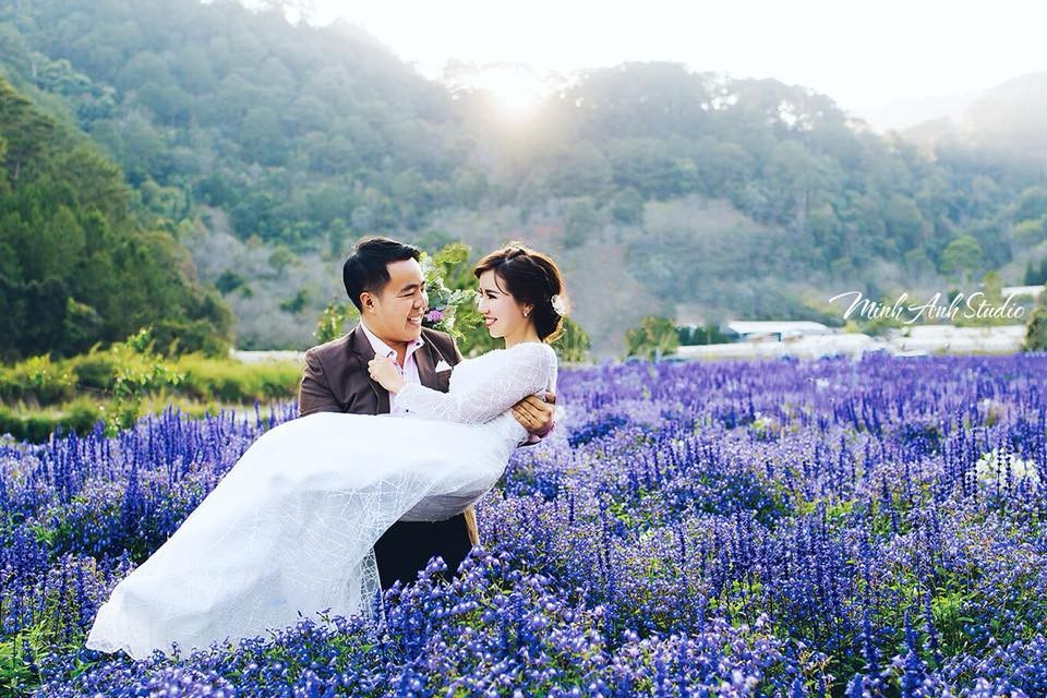 Cánh đồng hoa mới toanh ở Đà Lạt đẹp 'ngất ngây' đốn tim giới trẻ - 5